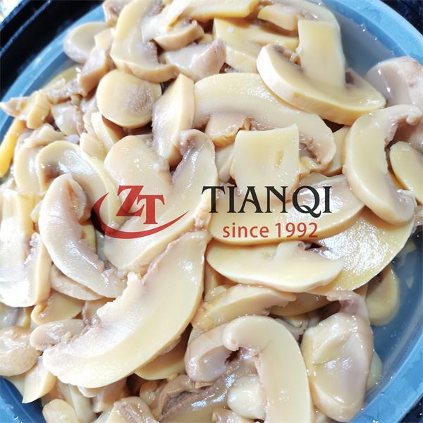 Brined Salted King Trumpet Mushroom Brined Salted King Trumpet Mushroom