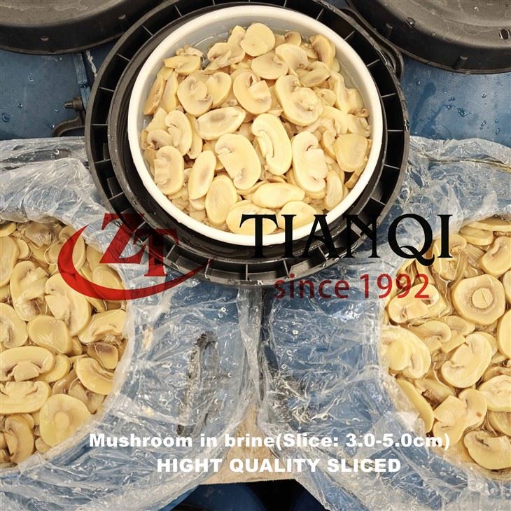brined-champignon-mushrooms-whole-or-sliced-in-drum brined-champignon-mushrooms-whole-or-sliced-in-drum